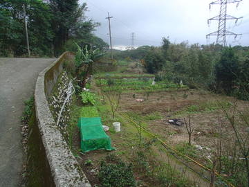丙種建地