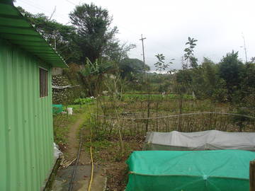 丙種建地