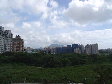 天琴