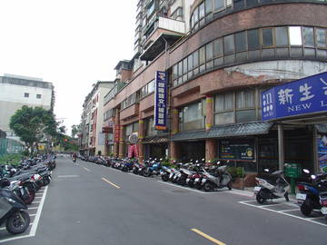 常春藤