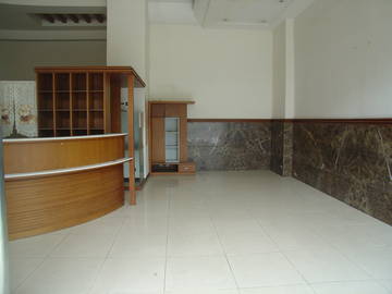 常春藤