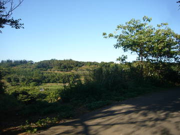 新小基隆段農地