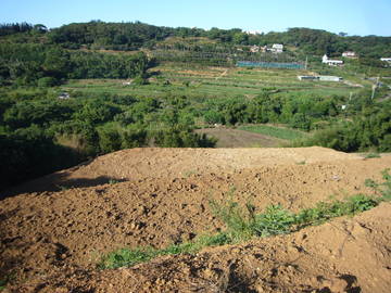 新小基隆段農地