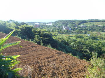 新小基隆段農地