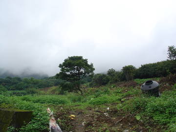 店子農地