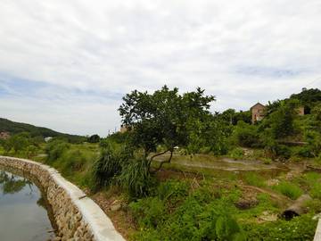 頂田寮土地