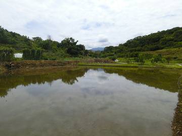 頂田寮土地
