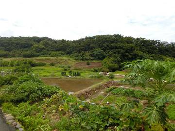頂田寮土地